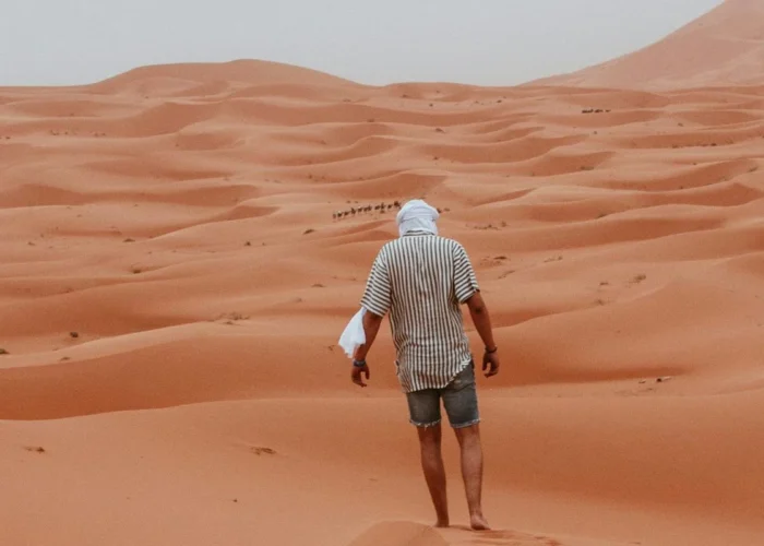 3 Day Tour From Marrakech To Fes crossing the Sahara Desert with camel trekking and luxury camp experience