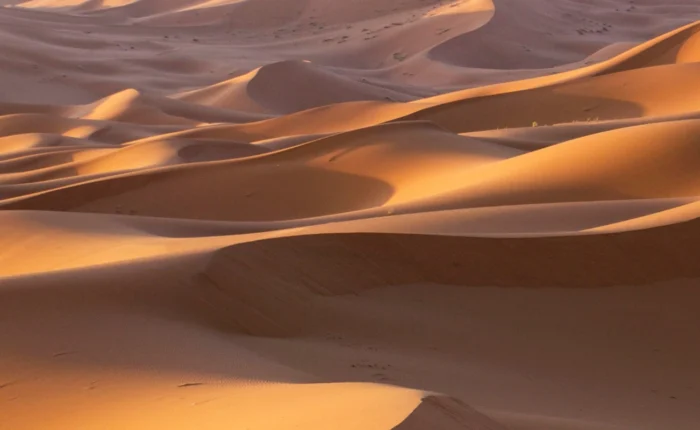 3 Days Desert Tour From Errachidia Morocco Travel Tour Packages