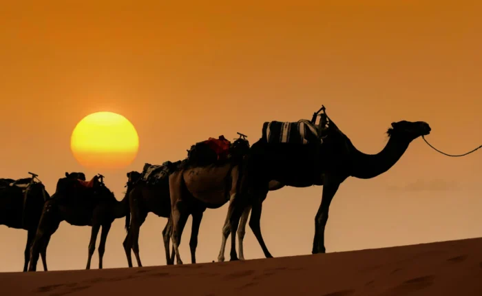 5 Days Tour From Tangier To Marrakech