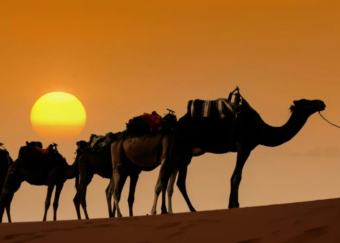 5 Days Tour From Tangier To Marrakech