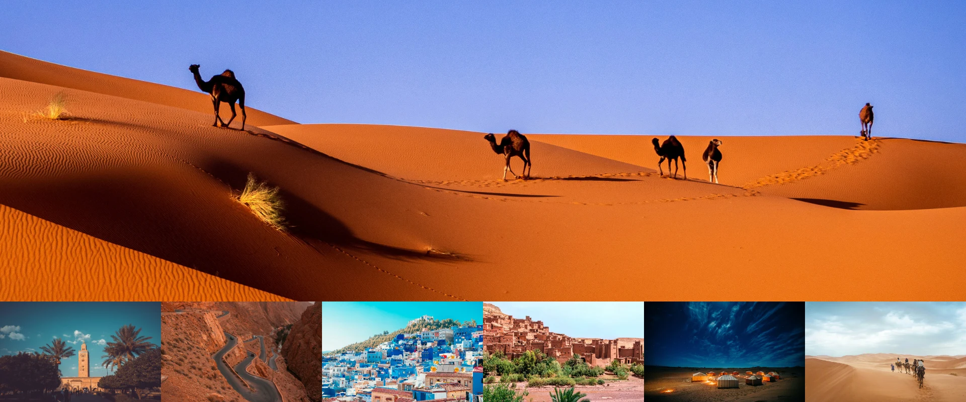 Travelers enjoying a 6 Day Morocco Tour From Casablanca To Marrakech with a camel trek in the Sahara Desert and visits to Morocco's imperial cities.