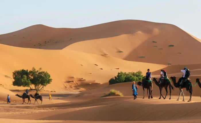 Camel trekking during the Fes to Marrakech Desert Tour 3 Days across the golden Erg Chebbi dunes in Merzouga, Morocco.