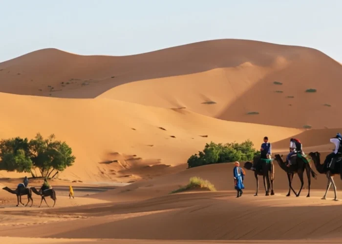 Camel trekking during the Fes to Marrakech Desert Tour 3 Days across the golden Erg Chebbi dunes in Merzouga, Morocco.
